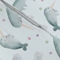 Narwhal Fun