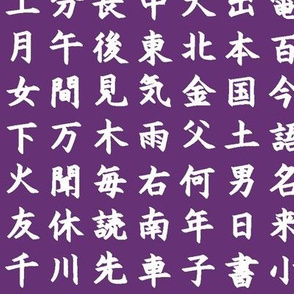Kanji / Hànzì Characters on Violet // Small