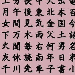 Kanji / Hànzì Characters on Pink // Small