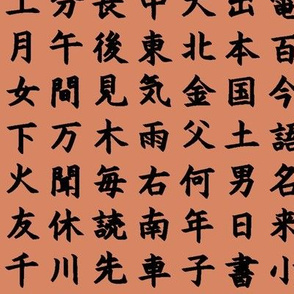 Kanji / Hànzì Characters on Terracotta // Small