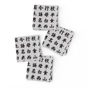 Kanji / Hànzì Characters on Light Grey // Small