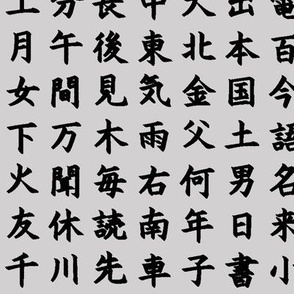 Kanji / Hànzì Characters on Light Grey // Small