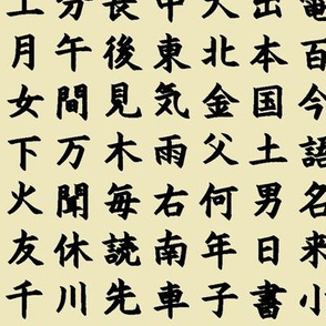 Kanji / Hànzì Characters on Parchment // Small