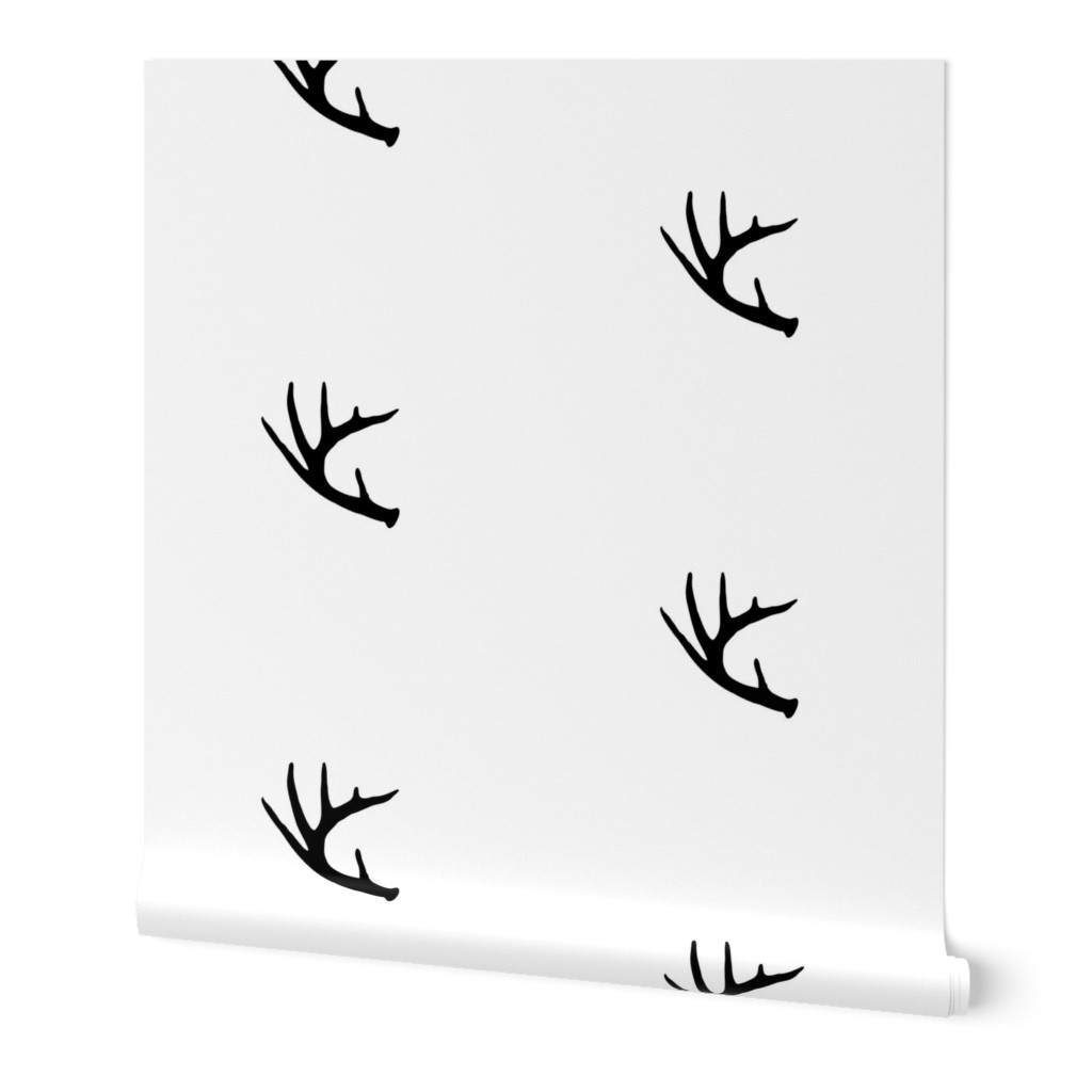 Antler On White