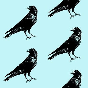 Crows on Pale Turquoise // Large