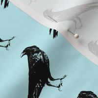 Crows on Pale Turquoise // Small