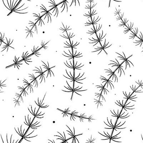 Meadow horsetail pattern