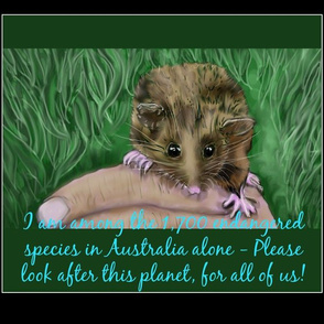 Endangered Pygmy-possum Australian-ed