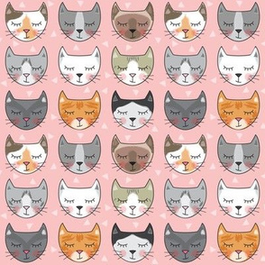 kitty-cat-faces on pink