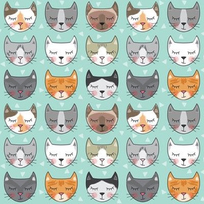 kitty-cat-faces on teal