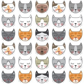 kitty-cat-faces-on-white