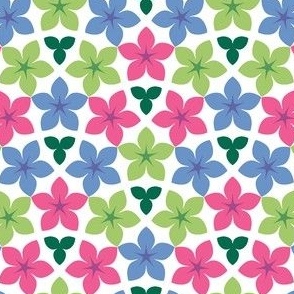 07474380 : U53floral : synergy0011