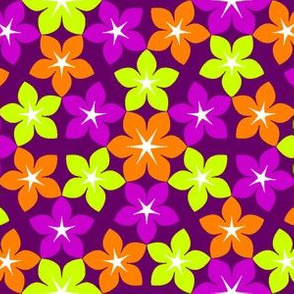 07474481 : U65floral : synergy0016