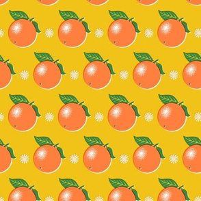 Sunkissed* (Velvet Banana) || minimalist oranges