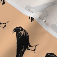 Crows on Apricot // Small