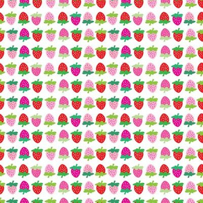 strawberry mixed washi size