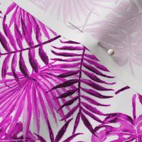 monstera and palm leaves - pink