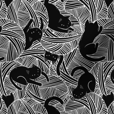 Cats on balls black and white 