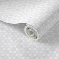 Silver Gray  and White Hexagonal Pattern