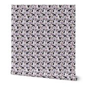 Boston Terrier Floral (smaller scale)- Pet Quilt C - dog floral, florals,  - lilac