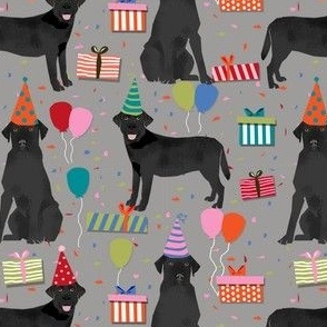 black lab birthday party dog breed labrador retriever grey