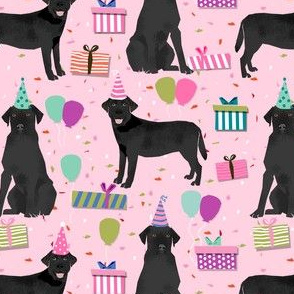 black lab birthday party dog breed labrador retriever pink