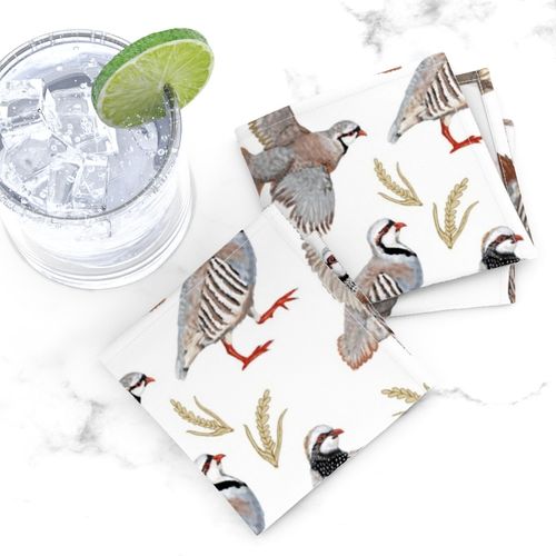 HOME_GOOD_COCKTAIL_NAPKIN