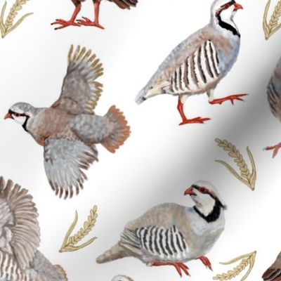 Partridges On White