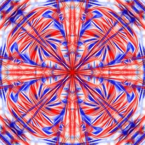 Red-White-Blue 002 8x8