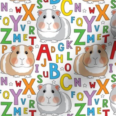 guinea-pigs-and-abcs-on white