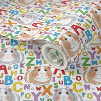 guinea-pigs-and-abcs-on white