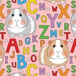 guinea-pigs-and-abcs-on-pink