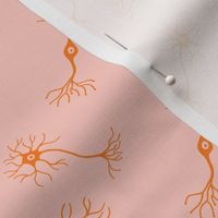Neurons pink and orange