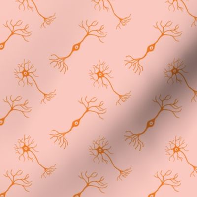 Neurons pink and orange