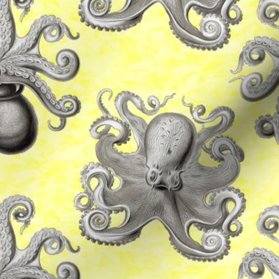 Haeckel's octopus gray+yellow ink