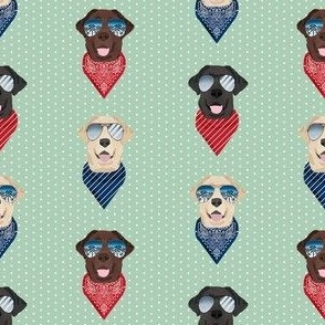 labrador sunglasses summer beach bandana dog fabric mint
