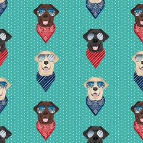 labrador sunglasses summer beach bandana dog fabric teal