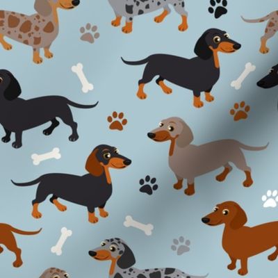 Dachshund Dogs Blue