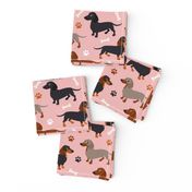 Dachshund Dogs Pink