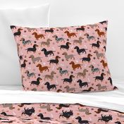 Dachshund Dogs Pink