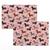 Dachshund Dogs Pink