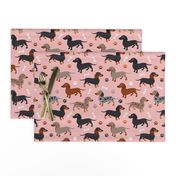 Dachshund Dogs Pink