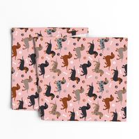 Dachshund Dogs Pink