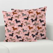 Dachshund Dogs Pink