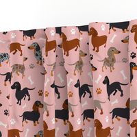 Dachshund Dogs Pink