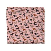 Dachshund Dogs Pink