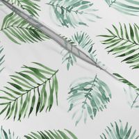 Watercolor Palm Leaves