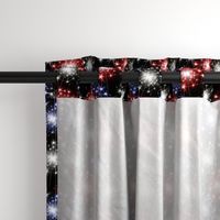 Shake Your Sparklers in Red White Blue on Black (small scale)