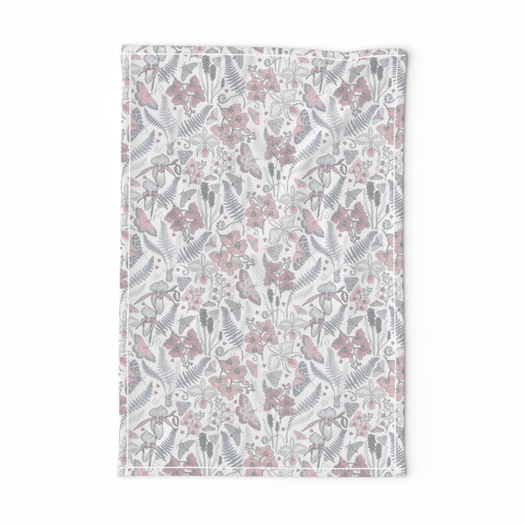 Orchid Botanical Study #021318 (grey-peach on white)