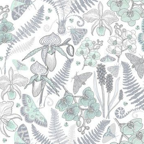 Orchid Botanical Study #021318 (grey-mint on white)